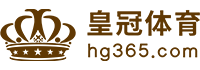 Logo 爱游戏体育